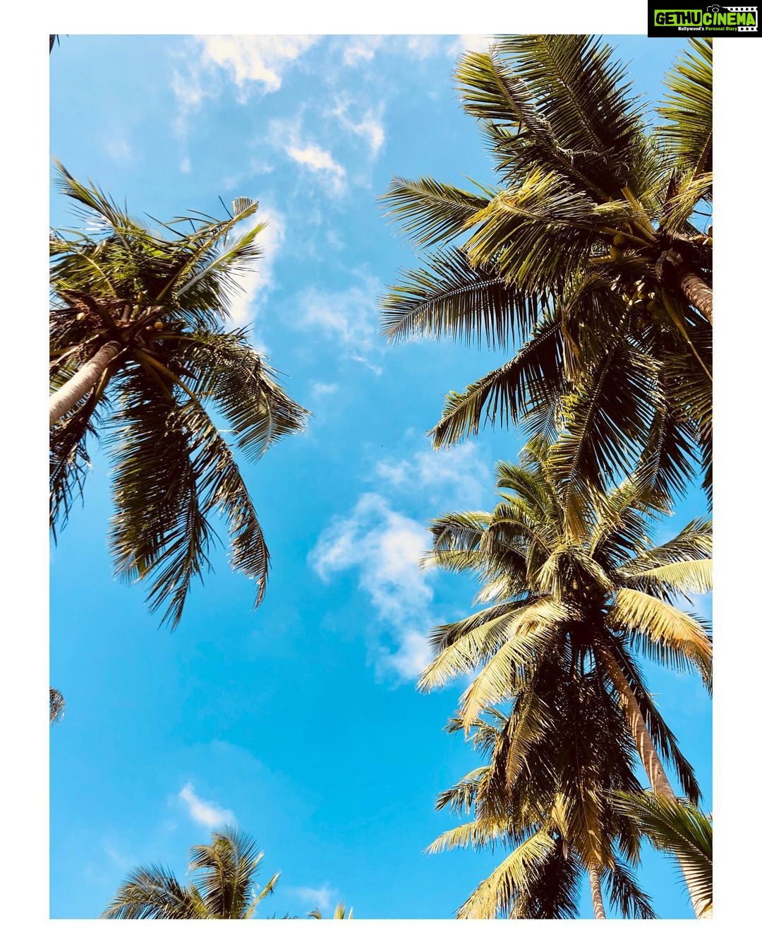 Nivedhithaa Sathish Instagram - 30 days of summer 🍃🌤 #Thanjavur #ShootDiaries #ProductionNo12 #Nature #Sky