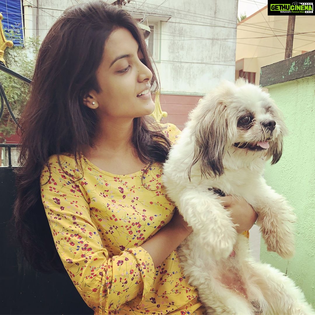 Nivedhithaa Sathish Instagram - Two happy Puppies! 🤩♥️