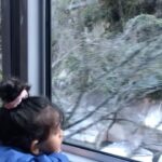 Panchi Bora Instagram - Wonderful world 🤍 On our way to Machu picchu. #adventure