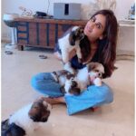 Parul Yadav Instagram - Hey I unlocked the magic to multiplying happiness.. all you need is a bunch of furry grandkids 🤪🤪 #PupHeaven #PupperDoggo #FurryKids #DogFam #PuppyLovin #SoMuchHappiness #SoMuchLoveForThem #HeartIsFull #BlessedWithLove #CouldntBeHappier #ShihApso #PlutosBabies #PuppyPaws #PuppyPower #LivinTheGoodLife #MondayMornings #MondayMotivations #PetsLife #PetsLovers