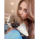 Parul Yadav Instagram - Hey I unlocked the magic to multiplying happiness.. all you need is a bunch of furry grandkids 🤪🤪 #PupHeaven #PupperDoggo #FurryKids #DogFam #PuppyLovin #SoMuchHappiness #SoMuchLoveForThem #HeartIsFull #BlessedWithLove #CouldntBeHappier #ShihApso #PlutosBabies #PuppyPaws #PuppyPower #LivinTheGoodLife #MondayMornings #MondayMotivations #PetsLife #PetsLovers