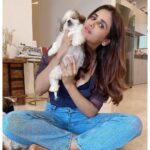 Parul Yadav Instagram - Hey I unlocked the magic to multiplying happiness.. all you need is a bunch of furry grandkids 🤪🤪 #PupHeaven #PupperDoggo #FurryKids #DogFam #PuppyLovin #SoMuchHappiness #SoMuchLoveForThem #HeartIsFull #BlessedWithLove #CouldntBeHappier #ShihApso #PlutosBabies #PuppyPaws #PuppyPower #LivinTheGoodLife #MondayMornings #MondayMotivations #PetsLife #PetsLovers