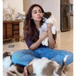 Parul Yadav Instagram - Hey I unlocked the magic to multiplying happiness.. all you need is a bunch of furry grandkids 🤪🤪 #PupHeaven #PupperDoggo #FurryKids #DogFam #PuppyLovin #SoMuchHappiness #SoMuchLoveForThem #HeartIsFull #BlessedWithLove #CouldntBeHappier #ShihApso #PlutosBabies #PuppyPaws #PuppyPower #LivinTheGoodLife #MondayMornings #MondayMotivations #PetsLife #PetsLovers
