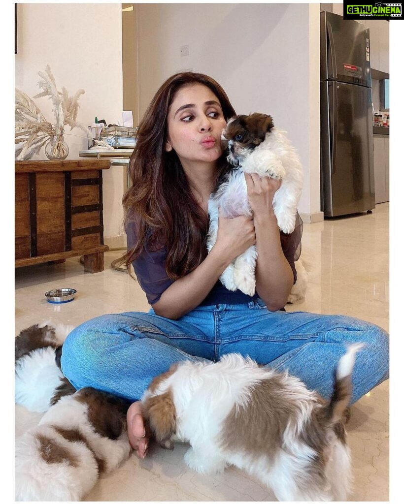 Parul Yadav Instagram - Hey I unlocked the magic to multiplying happiness.. all you need is a bunch of furry grandkids 🤪🤪 #PupHeaven #PupperDoggo #FurryKids #DogFam #PuppyLovin #SoMuchHappiness #SoMuchLoveForThem #HeartIsFull #BlessedWithLove #CouldntBeHappier #ShihApso #PlutosBabies #PuppyPaws #PuppyPower #LivinTheGoodLife #MondayMornings #MondayMotivations #PetsLife #PetsLovers