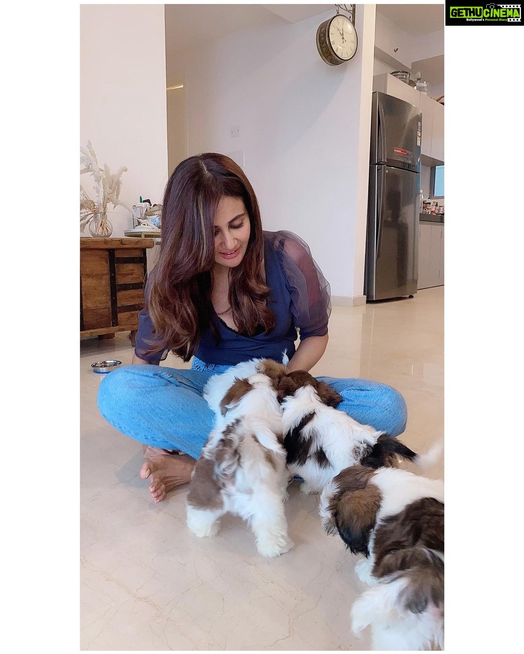Parul Yadav Instagram - Hey I unlocked the magic to multiplying happiness.. all you need is a bunch of furry grandkids 🤪🤪 #PupHeaven #PupperDoggo #FurryKids #DogFam #PuppyLovin #SoMuchHappiness #SoMuchLoveForThem #HeartIsFull #BlessedWithLove #CouldntBeHappier #ShihApso #PlutosBabies #PuppyPaws #PuppyPower #LivinTheGoodLife #MondayMornings #MondayMotivations #PetsLife #PetsLovers
