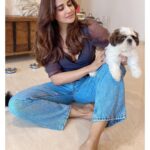 Parul Yadav Instagram - Hey I unlocked the magic to multiplying happiness.. all you need is a bunch of furry grandkids 🤪🤪 #PupHeaven #PupperDoggo #FurryKids #DogFam #PuppyLovin #SoMuchHappiness #SoMuchLoveForThem #HeartIsFull #BlessedWithLove #CouldntBeHappier #ShihApso #PlutosBabies #PuppyPaws #PuppyPower #LivinTheGoodLife #MondayMornings #MondayMotivations #PetsLife #PetsLovers