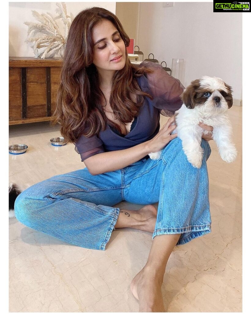 Parul Yadav Instagram - Hey I unlocked the magic to multiplying happiness.. all you need is a bunch of furry grandkids 🤪🤪 #PupHeaven #PupperDoggo #FurryKids #DogFam #PuppyLovin #SoMuchHappiness #SoMuchLoveForThem #HeartIsFull #BlessedWithLove #CouldntBeHappier #ShihApso #PlutosBabies #PuppyPaws #PuppyPower #LivinTheGoodLife #MondayMornings #MondayMotivations #PetsLife #PetsLovers