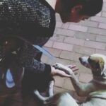 Payal Rajput Instagram - Some goodbyes are hard to say 🐶 Last night I met this munchkin ...got so emotional 🖤 We had exchanged something deeply profound in that moment, me and this dog. Thanks lil angel for loving me unconditionally 💛 god bless you 💛 #happynewyear2022 🖤 #bestthinghappenedtome 🐶