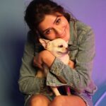 Payal Rajput Instagram - Life is better with u my lil man 🐶 @bunnychihuahua2154 🐶♥️