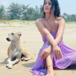 Payal Rajput Instagram – #posers 😈🐾😈