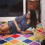 Payal Rajput Instagram - Missing my babies @bunnychihuahua2154 @mycandycrush3 🐾 Muma is waiting for both of u 🐕