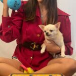 Payal Rajput Instagram - Good food = Good mood Catch my kids going bonkers over them . Thanks @goofytailsindia for sending such amazing gluten free treats and food for my puppies 🐶 And these funny squeaky toys ,with hard-to-resist crinkle paper sound are super exciting for dogs & help them engaged ,get more exercise and reduce anxiety & boredom. Check out @goofytailsindia and order now 🐶