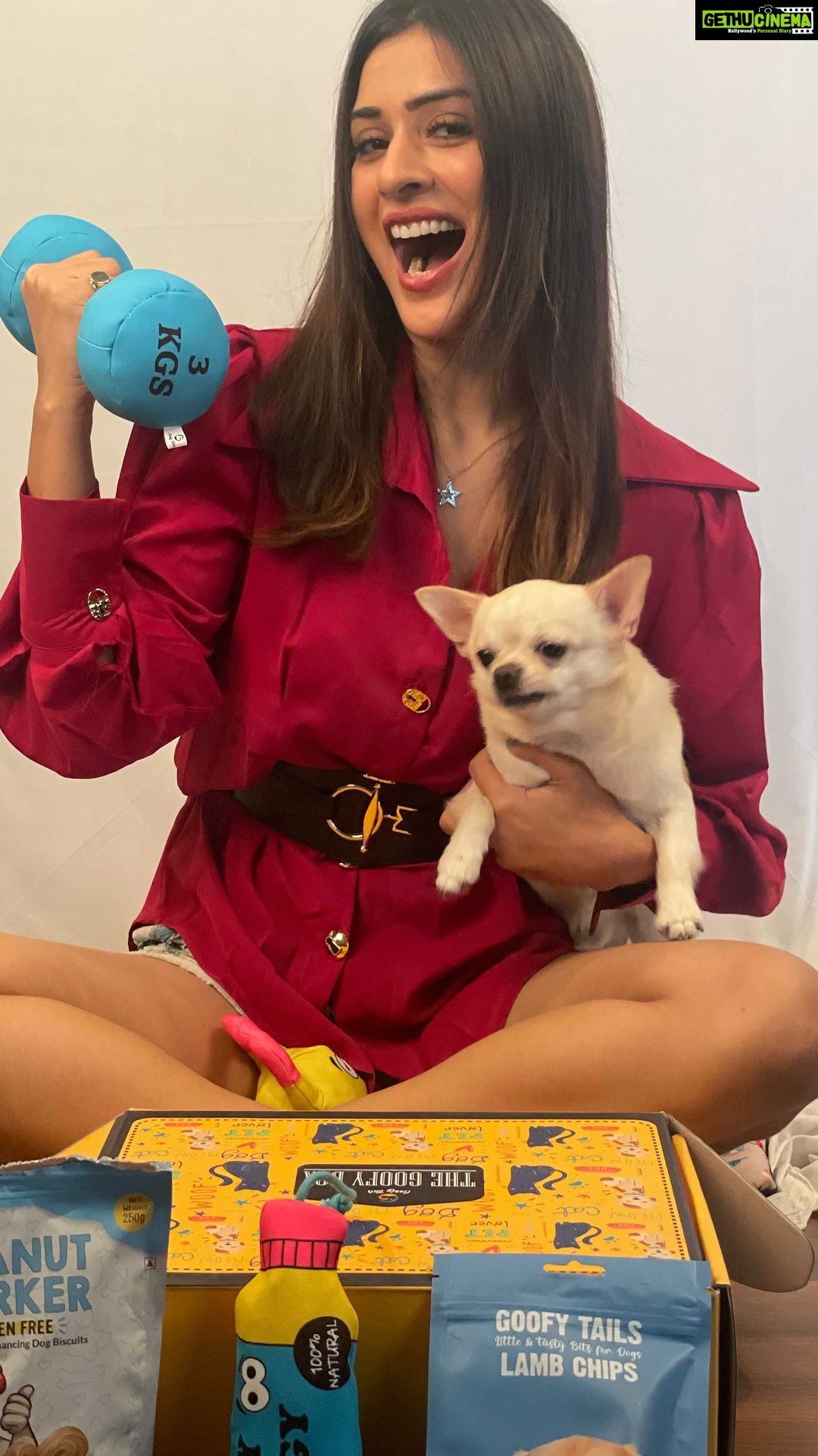 Payal Rajput Instagram - Good food = Good mood Catch my kids going bonkers over them . Thanks @goofytailsindia for sending such amazing gluten free treats and food for my puppies 🐶 And these funny squeaky toys ,with hard-to-resist crinkle paper sound are super exciting for dogs & help them engaged ,get more exercise and reduce anxiety & boredom. Check out @goofytailsindia and order now 🐶