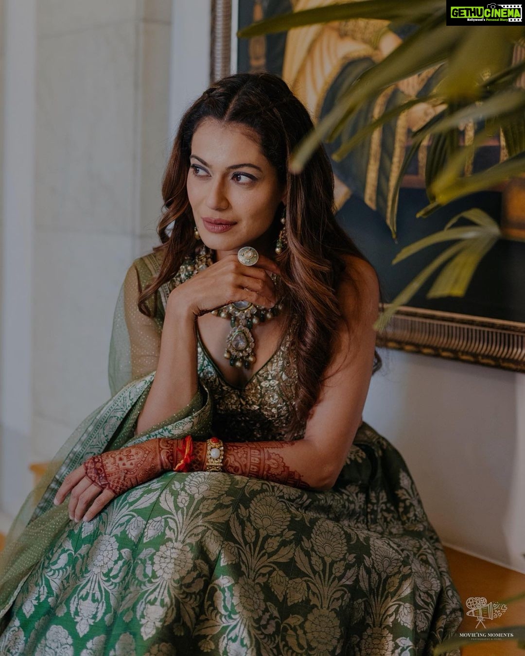 Payal Rohatgi Instagram - With wildflowers in her hands. Love the green hues and perfect vibes on @payalrohatgi ‘s Mehendi Day. Here’s to the ritual that marks the beginning. Photography : @movieingmoments Outfit: @house_of_risa_ @_risaofficial @wfivecommunication Jewellery: @multanijewellersofficial Hair & makeup: @anchalvermamua Venue partner: @jaypeehotels . . . #payalkesangram #payalrohatgi #payalsangramwedding #sangramsinghwrestler #weddingphotography Jaypee Palace Agra