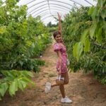 Pooja Hegde Instagram - Here’s one happy fruit picker for you.. 🍒🍓 #thejoyinsimplethings Gloucestershire