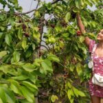 Pooja Hegde Instagram - Here’s one happy fruit picker for you.. 🍒🍓 #thejoyinsimplethings Gloucestershire