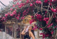 Pooja Jhaveri Instagram - Flowers, 🌸🌸🌸 New York City 🌆 A Good outfit 👗 Everything I loveeeeeee… ! ❤️ . . And not to forget great photography 😍 . . Outfit : @sajdabysuman Pictures : @satanssj @hetall_patell thank you, you made my dream of getting dreamy pictures clicked on New York streets come to life ❤️ @kushalized what would I do without you ❤️❤️❤️ . . #photoshoot #newyork #outfits #outfitoftheday #collaborations #collaboration #newyorkcity #streetsofnewyork #photoshoot #designerwear #designerdresses #designeroutfit #desi #colourful #colors #citylife #lifeofanactor New York City, N.Y.