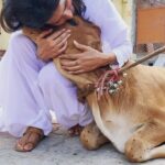 Priya Anand Instagram - My body will not be a tomb for other creatures.. Leonardo Da Vinci I’ve been a vegetarian for four years now… I’m not judging anybody that isn’t but this has been one of the best decisions of my life! 🤍✨