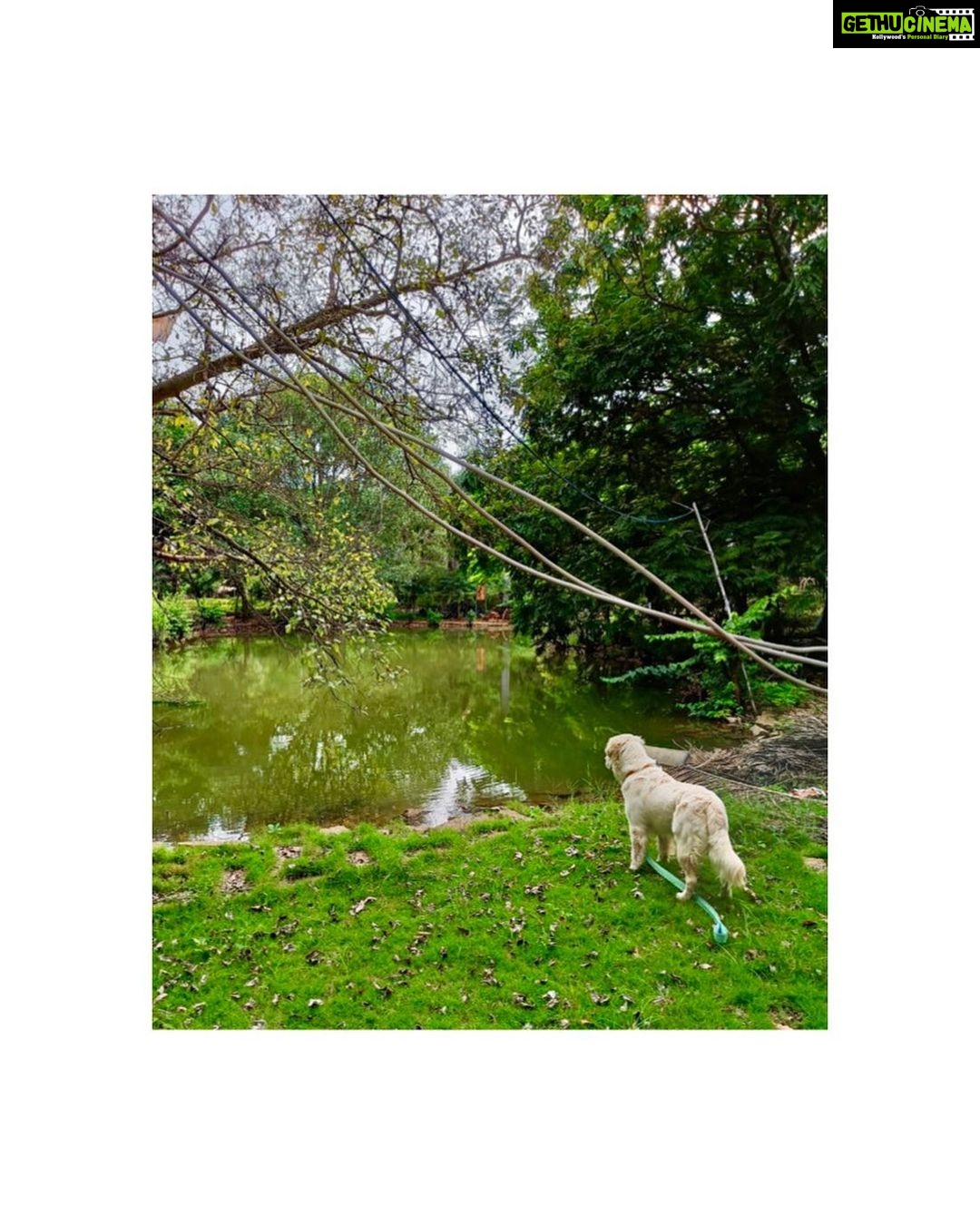 Priyanka Jawalkar Instagram - Lifeline #oscar..