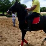 R. Sarathkumar Instagram - Riding at Rancho De Caballos, an equestrian competition centre and also a riding club, near Aziz nagar in Hyderabad. Along with varalaxmi and rahhul. Honing my riding skills this morning #horseriding #ranchodecaballos #varalaxmisarathkumar #equestrian #ridingclub #racehorses #anirudhravichander #lokeshkanagaraj