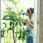 Rajisha Vijayan Instagram - I’m back after a break and I know I am super late but here’s me accepting the #greenindiachallenge from my muse @anupamaparameswaran96 🌴💚 So meet my Sapota/Chikoo/Sapodilla tree that I recently planted in my balcony. I love this fruit and @lilysplantboutique showed me that you could actually plant trees in your balcony, even fruit bearing ones. The one thing I miss the most while living in a flat is that we hardly get any ground to plant anything especially trees and this was a much needed revelation. So I hereby challenge each and everyone of you to go ahead and plant more and more 💚