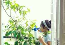 Rajisha Vijayan Instagram - I’m back after a break and I know I am super late but here’s me accepting the #greenindiachallenge from my muse @anupamaparameswaran96 🌴💚 So meet my Sapota/Chikoo/Sapodilla tree that I recently planted in my balcony. I love this fruit and @lilysplantboutique showed me that you could actually plant trees in your balcony, even fruit bearing ones. The one thing I miss the most while living in a flat is that we hardly get any ground to plant anything especially trees and this was a much needed revelation. So I hereby challenge each and everyone of you to go ahead and plant more and more 💚