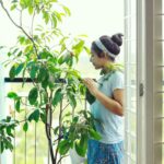 Rajisha Vijayan Instagram - I’m back after a break and I know I am super late but here’s me accepting the #greenindiachallenge from my muse @anupamaparameswaran96 🌴💚 So meet my Sapota/Chikoo/Sapodilla tree that I recently planted in my balcony. I love this fruit and @lilysplantboutique showed me that you could actually plant trees in your balcony, even fruit bearing ones. The one thing I miss the most while living in a flat is that we hardly get any ground to plant anything especially trees and this was a much needed revelation. So I hereby challenge each and everyone of you to go ahead and plant more and more 💚