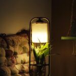 Rajisha Vijayan Instagram - There’s always something special in being captured in your own space. Comfort in abundance. I have been trying my max to accommodate as many indoors plants as possible in my home. And one day I found this beautiful lamp that hosts a live plant in @wildwoods_shwethasheethal page. I love how innovative people are becoming and here is to greener homes 💚