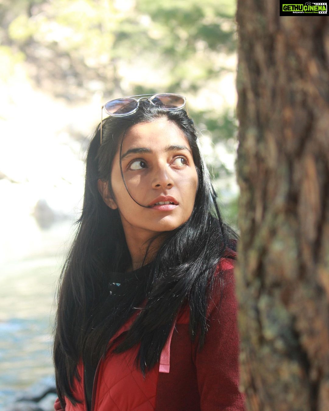 Rajisha Vijayan Instagram - Day 1: This was the view from our stay at Kasol. This serene view along with the soothing sound of the gushing river meant I could meditate in a second. And these pebbles became the very first souvenirs from the trip. ♥️ @tentgraam