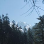 Rajisha Vijayan Instagram - Just before lockdown this was my last trip, planned and executed by @tentgraam ♥️ Day 1: After an overnight journey from Delhi, we woke up to the amazing view of Himalayas. Kasol is a magnificent place for travellers, situated right in Parvati valley, it is a true home for anyone seeking nature and peace. We stayed at this humble cottage amidst pine and apple trees, with a river running right behind it. It is run by a sweet family and their puppy Max is in the third photo. With some delicious food and a cozy weather, I knew this was slowly turning out to be one of my best vacays. @tentgraam you guys make the best trips ever! 🤗 Kasol Parvati Valley