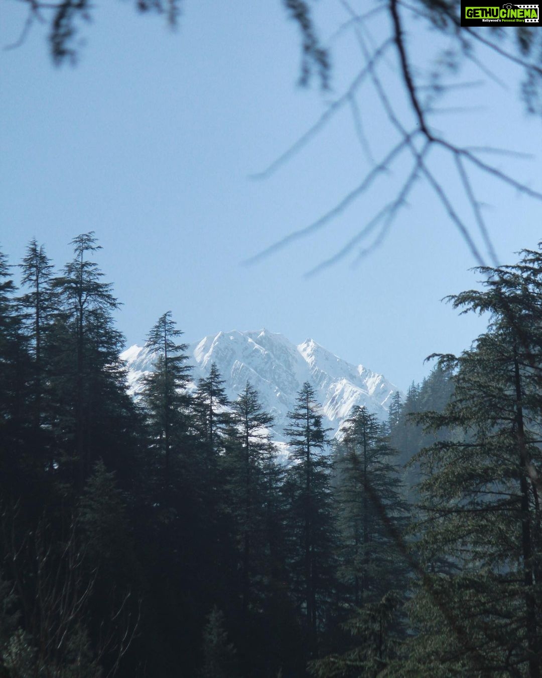 Rajisha Vijayan Instagram - Just before lockdown this was my last trip, planned and executed by @tentgraam ♥️ Day 1: After an overnight journey from Delhi, we woke up to the amazing view of Himalayas. Kasol is a magnificent place for travellers, situated right in Parvati valley, it is a true home for anyone seeking nature and peace. We stayed at this humble cottage amidst pine and apple trees, with a river running right behind it. It is run by a sweet family and their puppy Max is in the third photo. With some delicious food and a cozy weather, I knew this was slowly turning out to be one of my best vacays. @tentgraam you guys make the best trips ever! 🤗 Kasol Parvati Valley