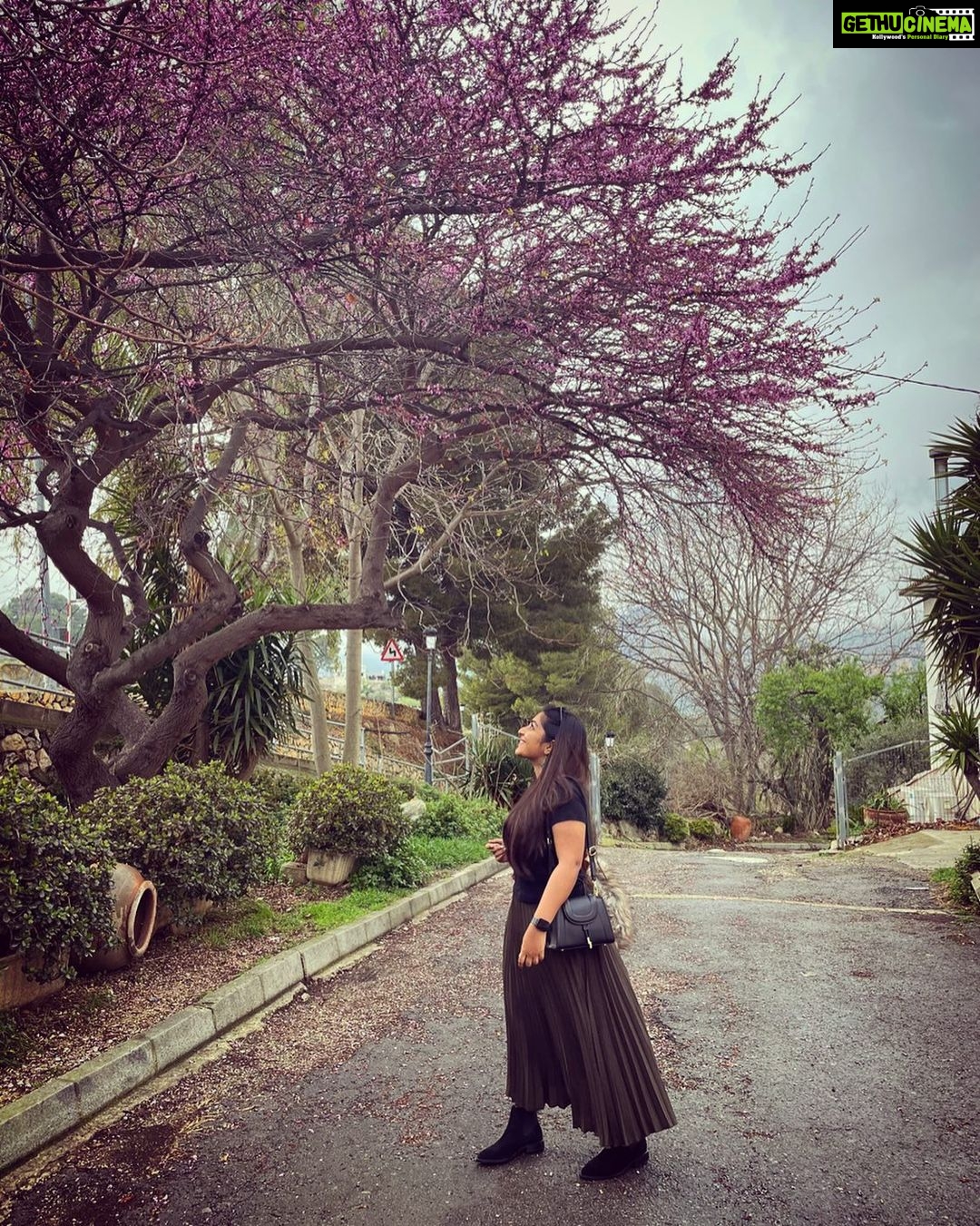 Rajisha Vijayan Instagram - Under the cherry blossom bloomed my heart 🌸