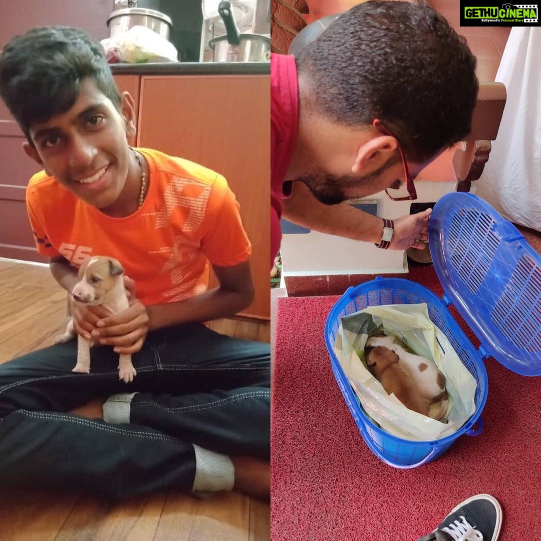 Rajisha Vijayan Instagram - HAPPIEST RIGHT NOW!!! My three munchkins got a home! Thanks to each and everyone of you who helped spread the word. Agil and Jose were the two kindhearted souls who decided to adopt them. β₯οΈπ€ Special special thanks to Radhika, Tobin and Vinitha for all the help ππΌπ€π My sincere request to you to kindly not abandon any of these precious lives, instead put a post and let people adopt. Adopt, donβt shop π€