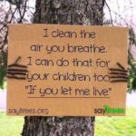 Rajisha Vijayan Instagram – If we.