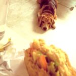 Ram Pothineni Instagram - Always interested in my Lunch.. Alwayssss! #Bart #BartieCutieMode #InstagRAM