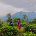 Raveena Daha Instagram – Mouna ragam 2 ❤️ 😍
Coming soon 😉….
@chippy.renjith 😘
@vijaytelevision Ponmudi . പൊന്മുടി