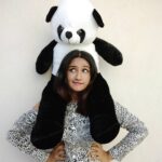 Raveena Daha Instagram - Me or mr.Panda🐼 whom do you love?🙈😍 I love mr. Panda ❤️ Thank you so much for gifting me this cute one @haris_collectionz 😍❤ #raveena #raveenadaha #panda