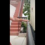 Raveena Daha Instagram - வாணத்து இந்திரனே வாருங்கள் வாருங்கள் 🌹😂💞 #raveena #raveenadaha #tiktok