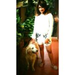 Raveena Daha Instagram – A dog is a friend who listens with his heart and replies with his tail😘💓💯👑 #myhettu #doggo #goldenretriever #bestfriend #mine #puppy #raveena #raveena #raveenadaha