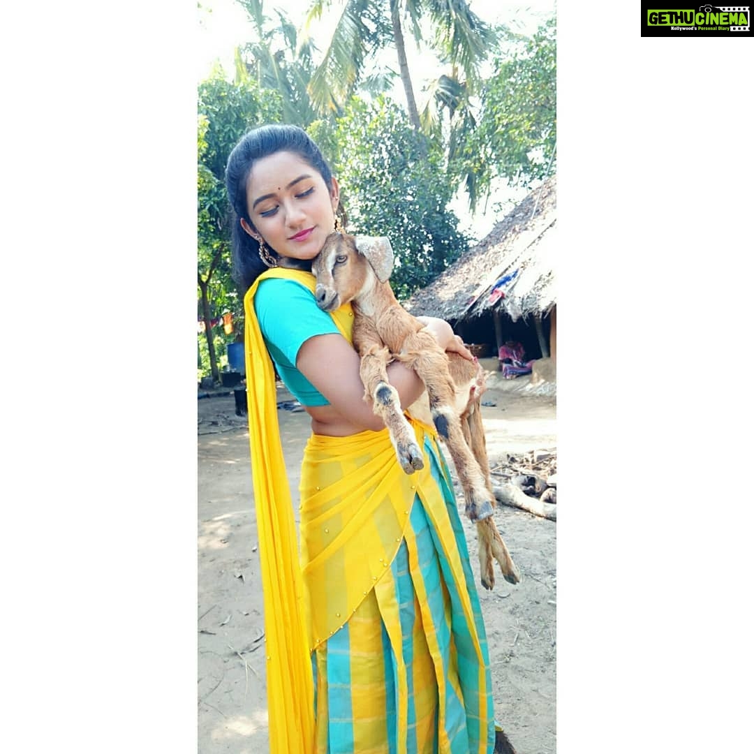 Raveena Daha Instagram - நான் சும்மாவே சீனு-டி இப்போ ஊருக்கே டானு-டி 😁💝 #raveena #raveenadaha #traditional #village #actor #shootmode #instalove #halfsaree #yellow