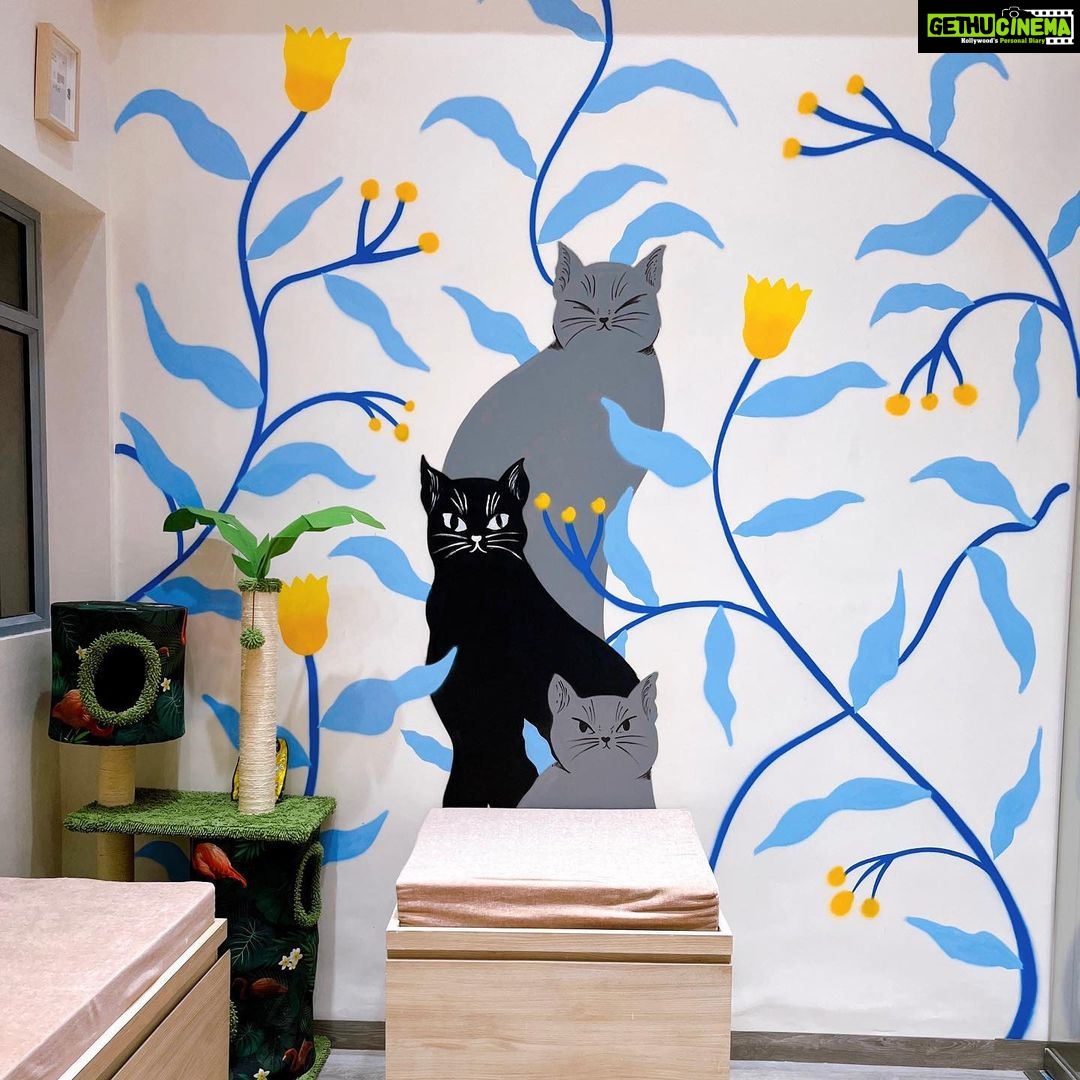 Richa Panai Instagram - Come experience our KIT CAT CAFE now!🐈💞 . . . . . #kitcatcafe #catcafe #catsofinstgram #catlover #catparents #kittensofinstagram #catsagram #cats #kittens #cutecats #versova #mumbai #maharashtra #café #cafemumbai #catparents #coffeeaddict #catlife