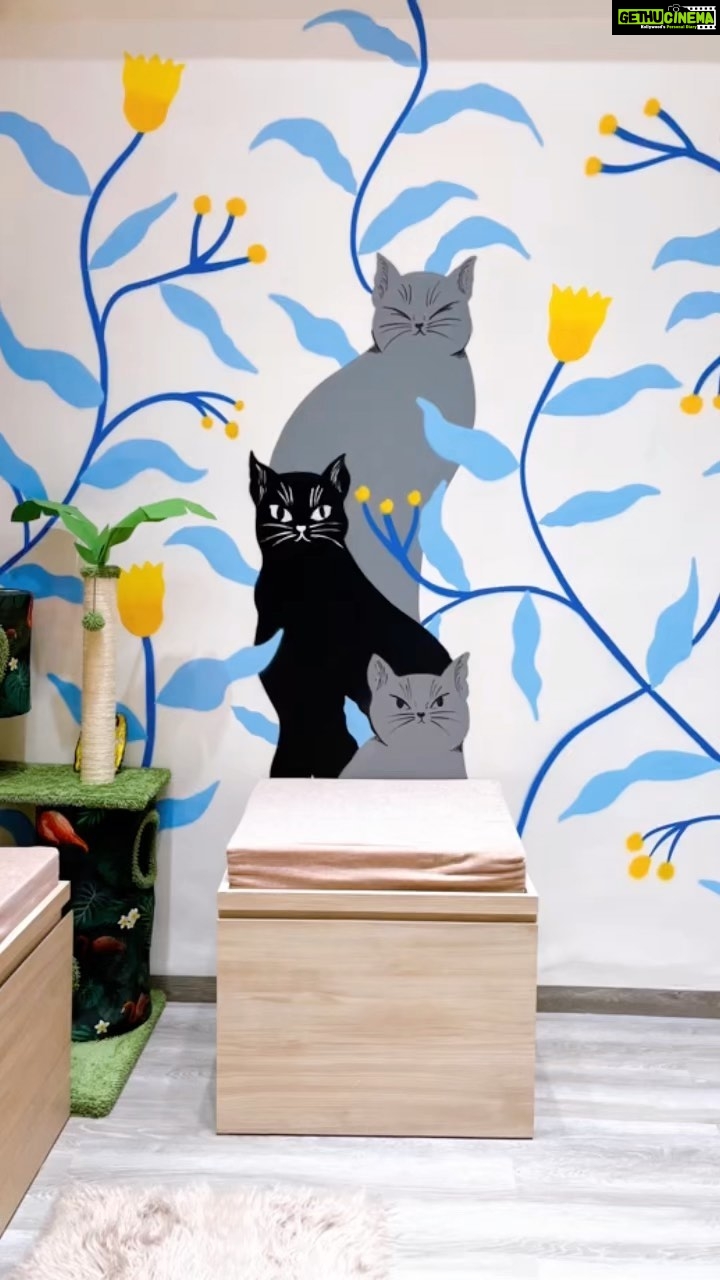 Richa Panai Instagram - Holaaa!!! Welcome to our cat cafe!🐈☕️🥤🥐🍪 . . . . . #kitcatcafe #catcafe #catsofinstgram #catlover #catparents #kittensofinstagram #catsagram #cats #kittens #cutecats #versova #mumbai #maharashtra Mumbai - मुंबई