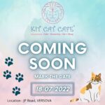 Richa Panai Instagram - Mark the date!🐈‍⬛💕 #openingsoon #kitcatcafe #catcafe #catsofinstgram #catlover #catparents #kittensofinstagram #catsagram #cats #kittens #cutecats #versova #mumbai #maharashtra Versova, Mumbai