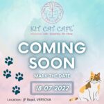 Richa Panai Instagram – Mark the date!🐈‍⬛💕 #openingsoon 
#kitcatcafe #catcafe #catsofinstgram #catlover #catparents #kittensofinstagram #catsagram #cats #kittens #cutecats #versova #mumbai #maharashtra Versova, Mumbai