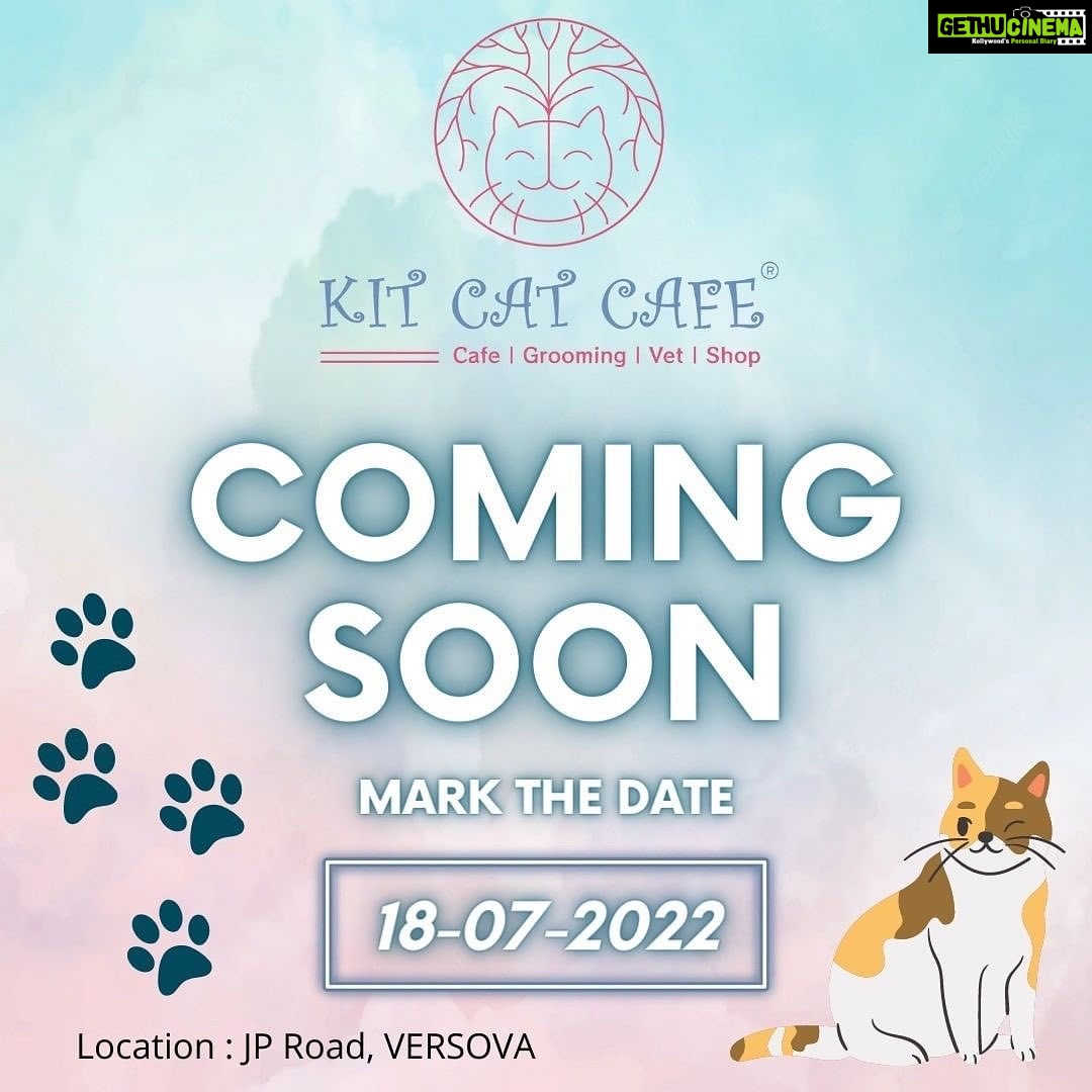 Richa Panai Instagram - Mark the date!🐈⬛💕 #openingsoon #kitcatcafe #catcafe #catsofinstgram #catlover #catparents #kittensofinstagram #catsagram #cats #kittens #cutecats #versova #mumbai #maharashtra Versova, Mumbai