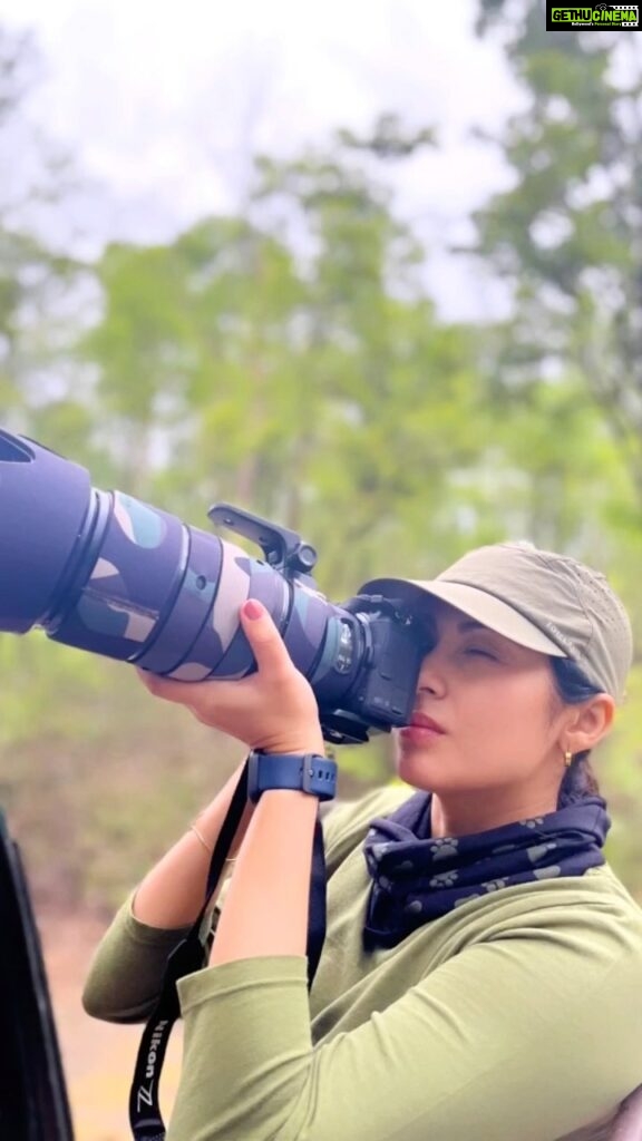 Sadha Instagram - You gotta make a reel when there’s a perfect song made for DRY SAFARIS! Here’s how a BTS looking for a Tiger but not finding one looks like… Enjoy 😀 Thank you @oaffmusic & @luceamma for creating this gem.. couldn’t help but use the whole track here! 🙌 #wildlife #sadaa #sadaasgreenlife #jungle #wildlifephotography #reels #instagood #reelsinstagram #reelitfeelit #trendingreels #reelsindia #bigcats