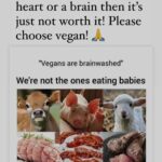 Sadha Instagram – If your food had a face, a heart or a brain then it’s just not worth it! Please choose vegan 💚 

RP @sadaa17 Mumbai, Maharashtra