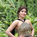 Sai Dhanshika Instagram – ⭐️
For Shikaaru pre-release event… 
Styling @prajanyaanand 
Wearing @suresh.menon 
@narsimhaphotography 
Jewellery @ishhaara