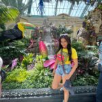 Sakshi Agarwal Instagram – Vegas baby😍 Bellagio Las Vegas