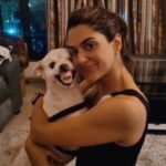 Sakshi Chaudhary Instagram - Love to trouble him... he loves it too!! ❤️❤️ He just acts he doesn't 🙄🙄😊😊 Full nautanki!🐕🐕🐽